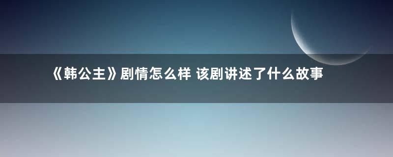 《韩公主》剧情怎么样 该剧讲述了什么故事